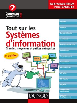 cover image of Tout sur les systèmes d'information--4e éd.